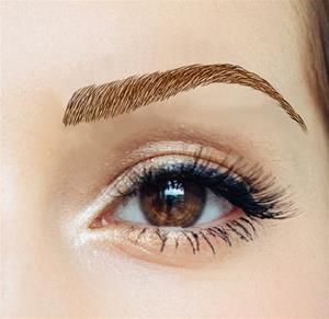 Claudia Eyebrow