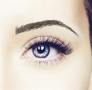 Cleo Brow
