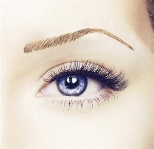 Delilah II Brow