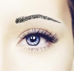 Dena Brow