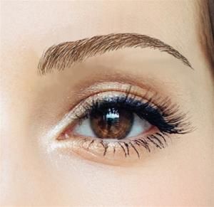 Nicole Brow