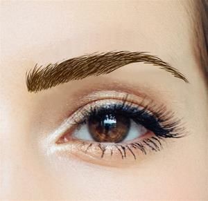 Paris Eyebrow