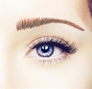 Trinity Brow